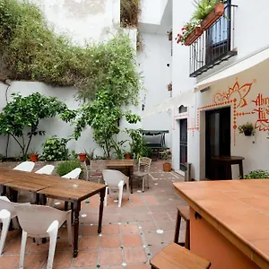  Ostello Oasis Backpackers' Spagna